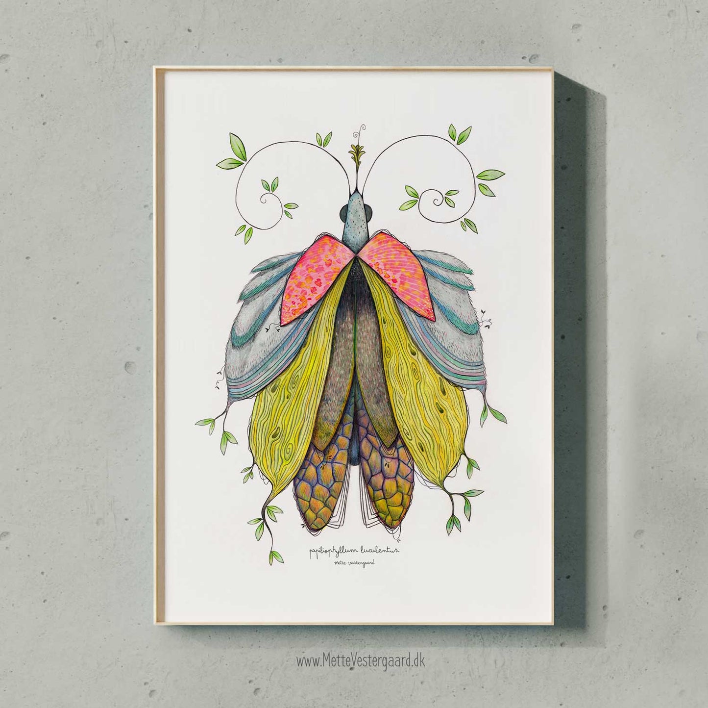 Illustration med en farverig sommerfugl, kaldt for farverig bladsommerfugl.